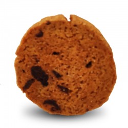 Sottobosco